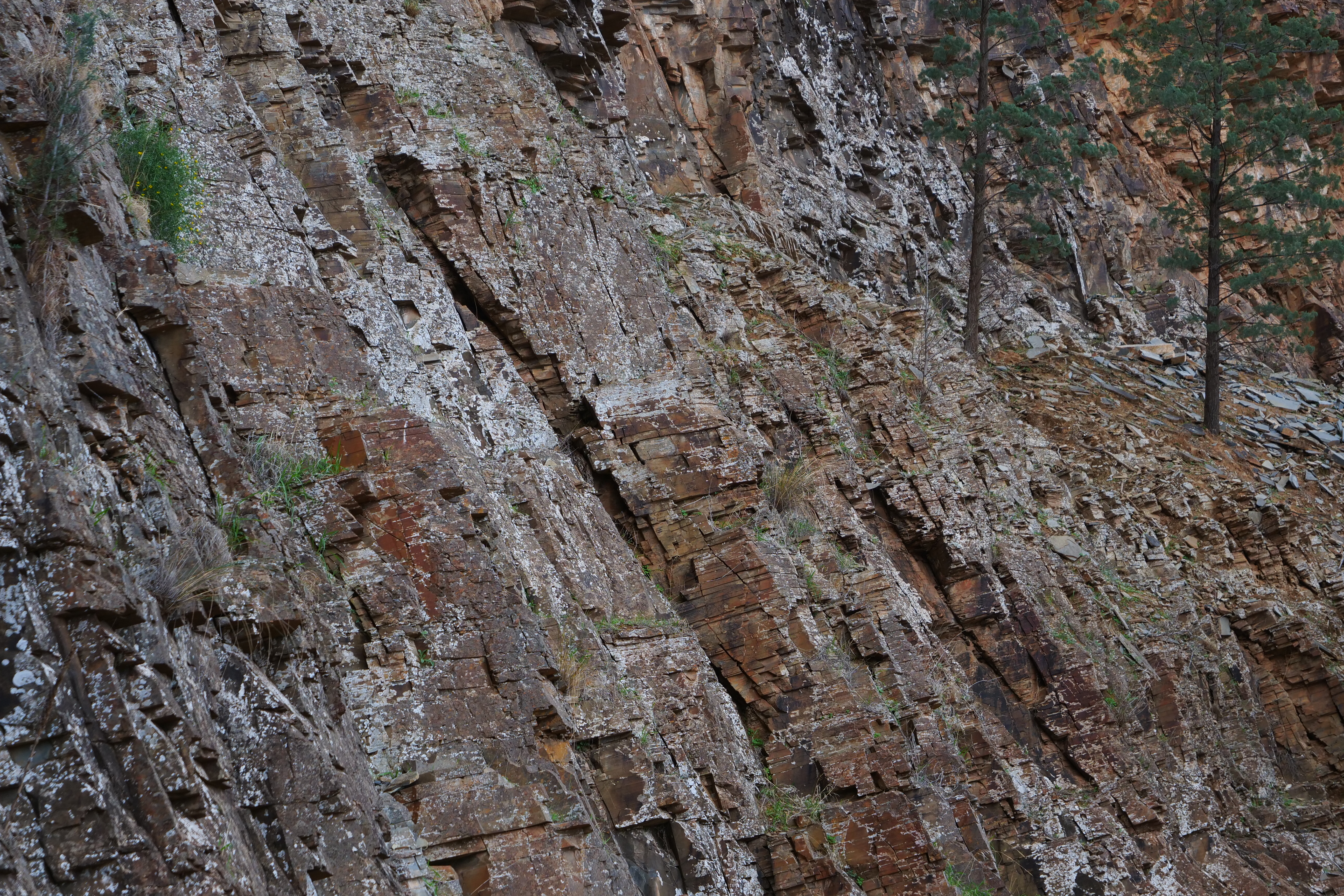 4. walk to aboriginal carvings, still from road to oratunga project, kai easton, Oratunga Winter School, South Australia, 2019.jpeg