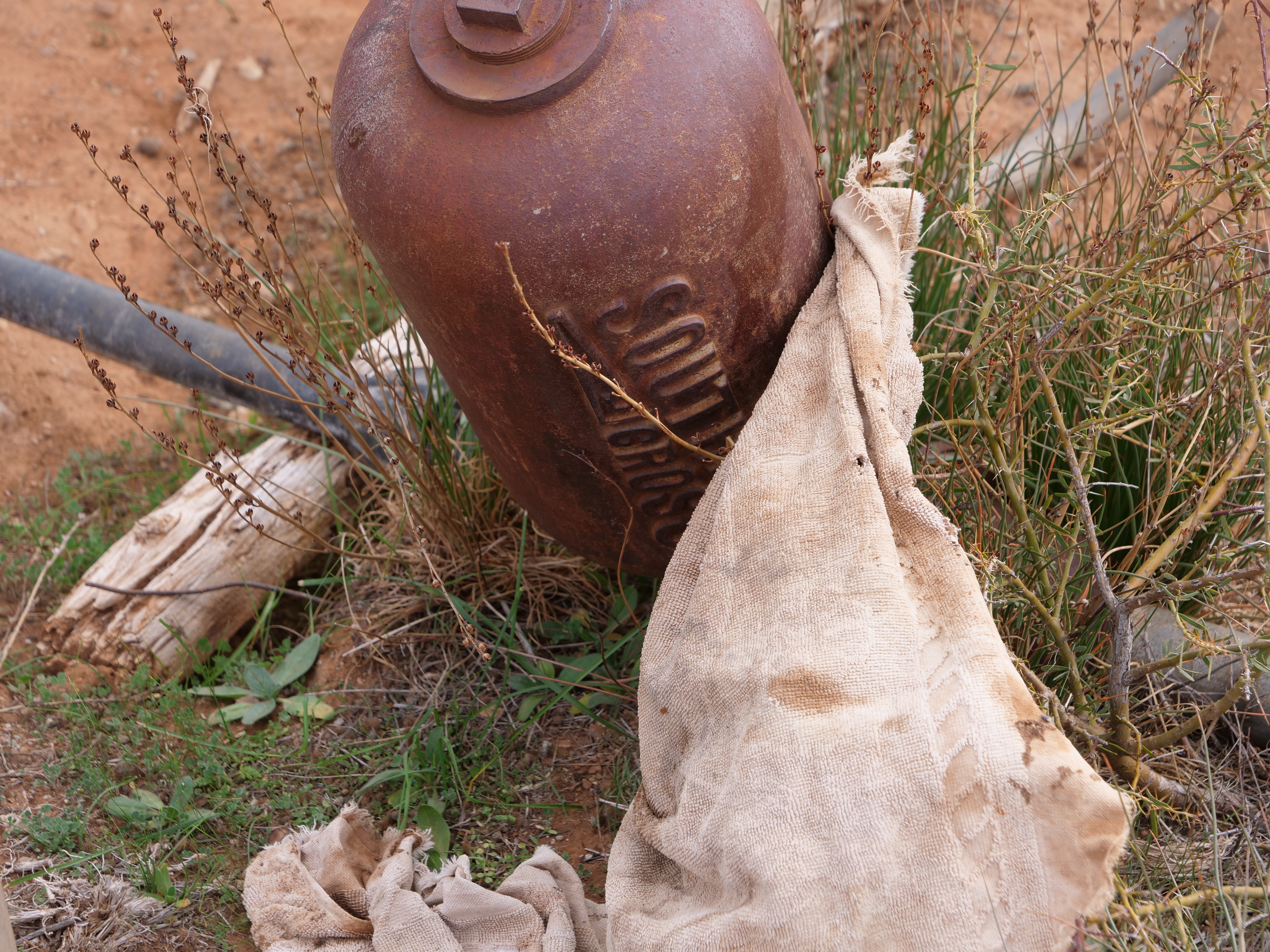 8. southern cross, still from road to oratunga, kai easton, oratunga winter school, 2019.JPG
