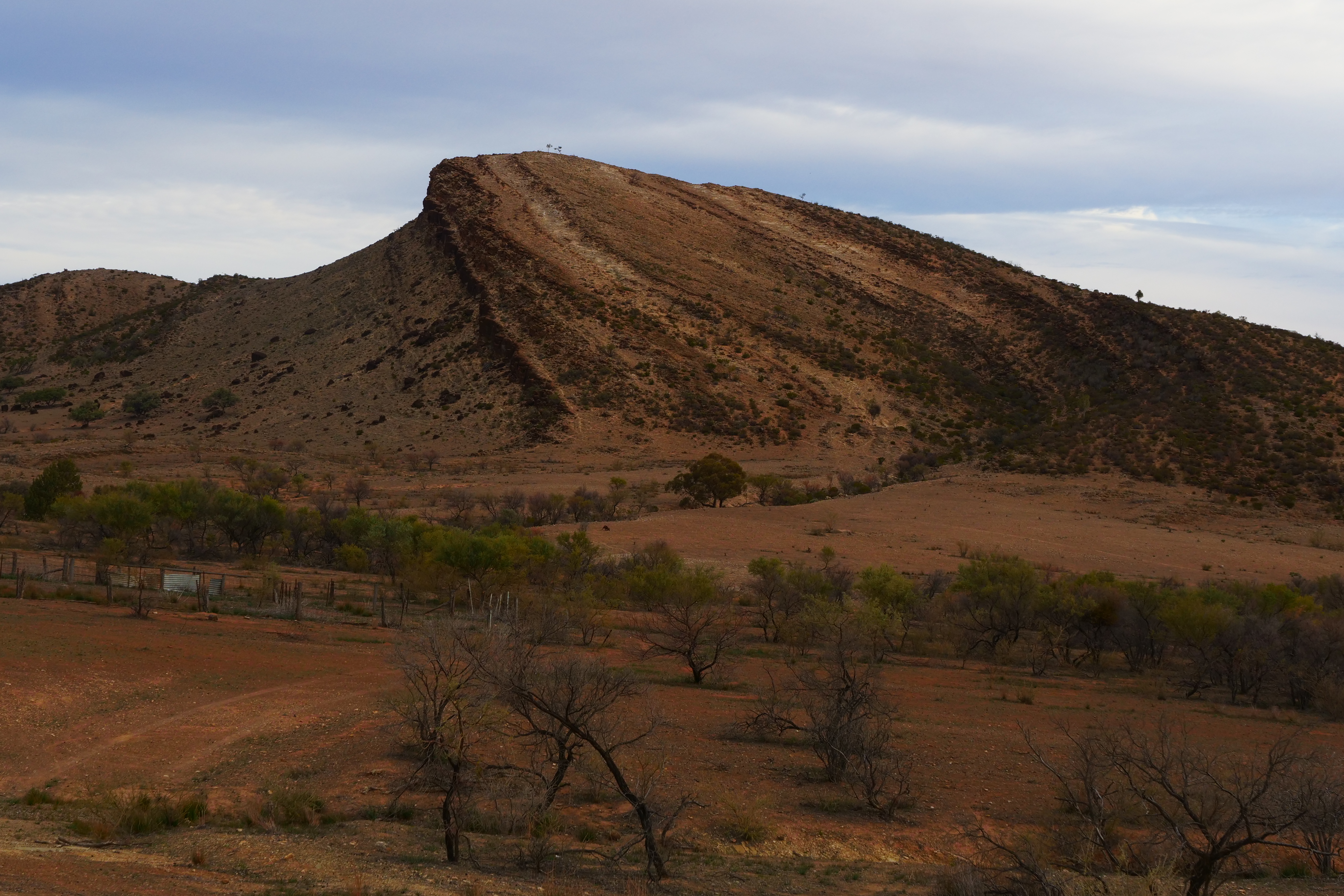 9. Landscape, still from road to oratunga, kai easton, Oratunga Winter School, South Australia, 2019.JPG