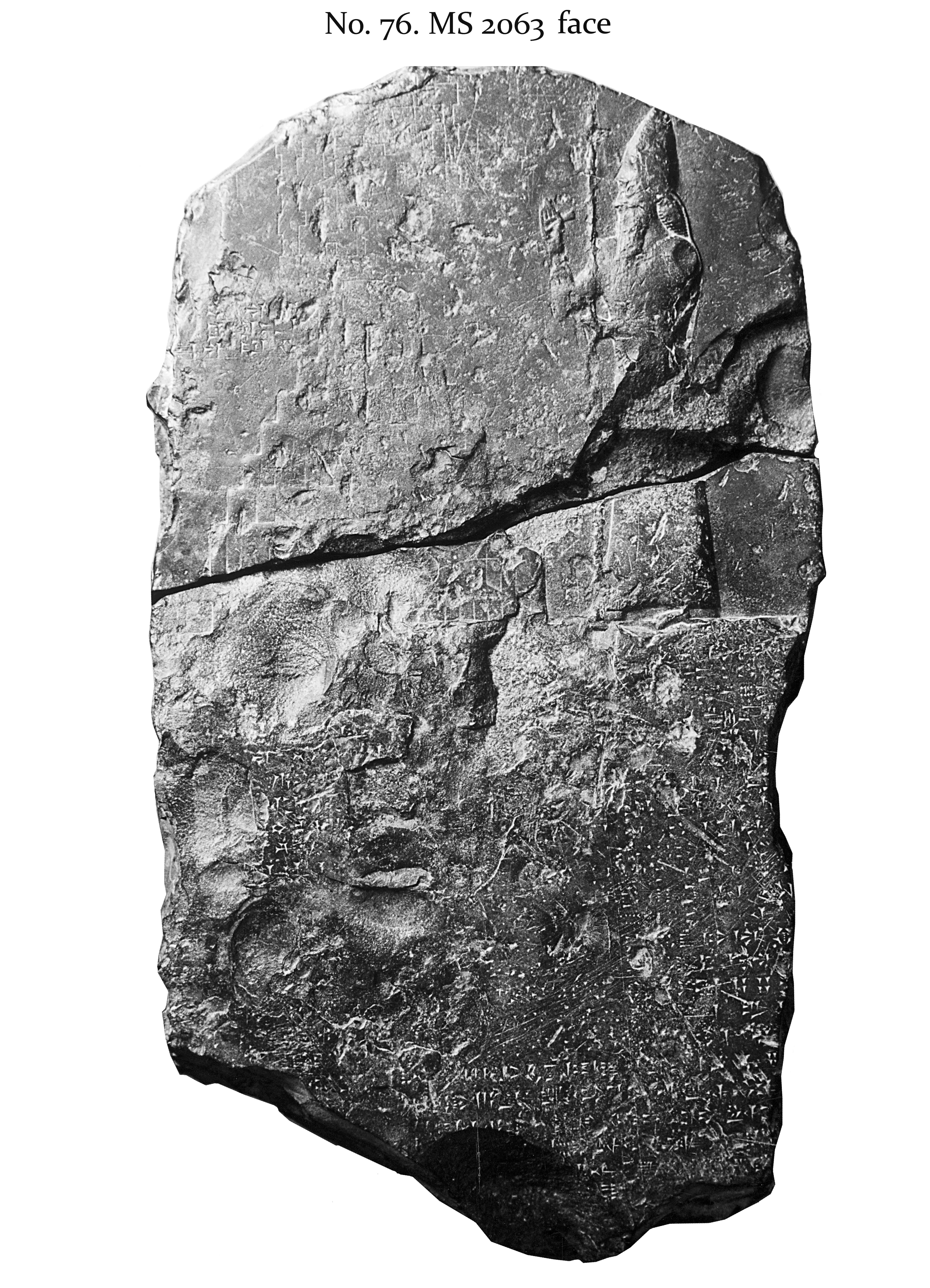 MSCT6pl_58.jpg