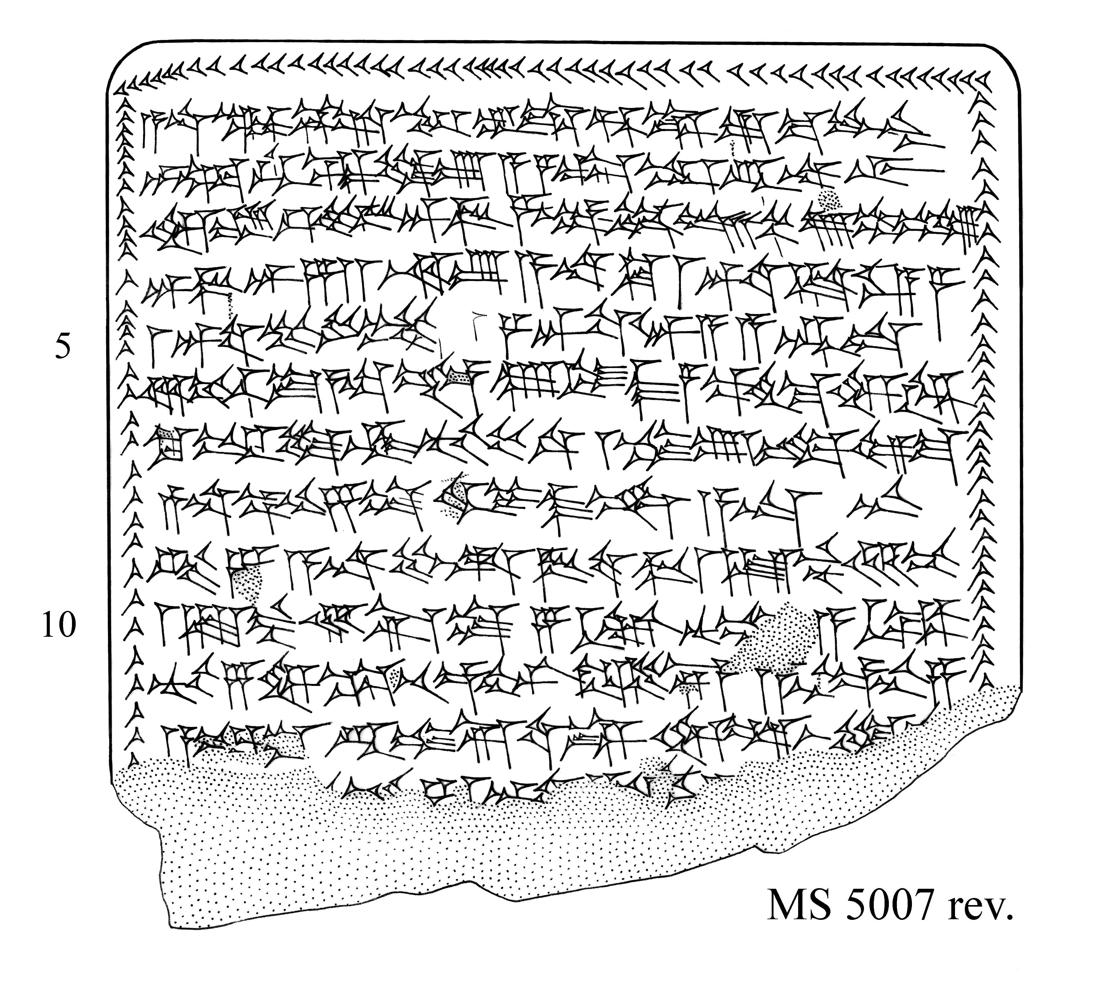 MS5007rev.jpg