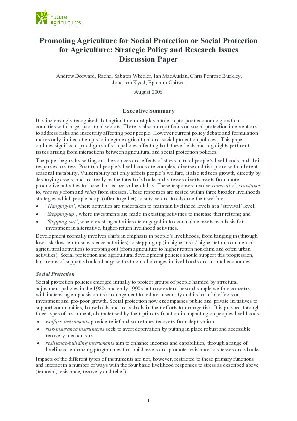 Promoting Agriculture for Social Protection or Social Protection for Agriculture: Policy and Research Issues Thumbnail
