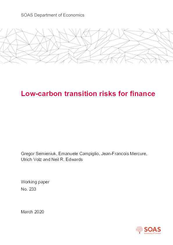 Low-carbon Transition Risks for Finance Thumbnail