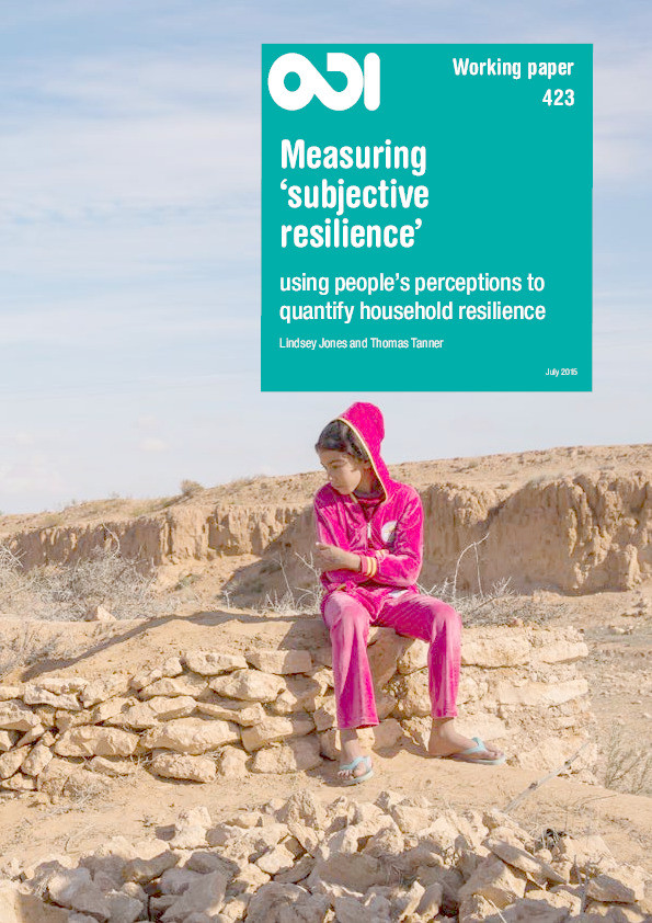 Measuring 'subjective resilience': using peoples' perceptions to quantify household resilience Thumbnail