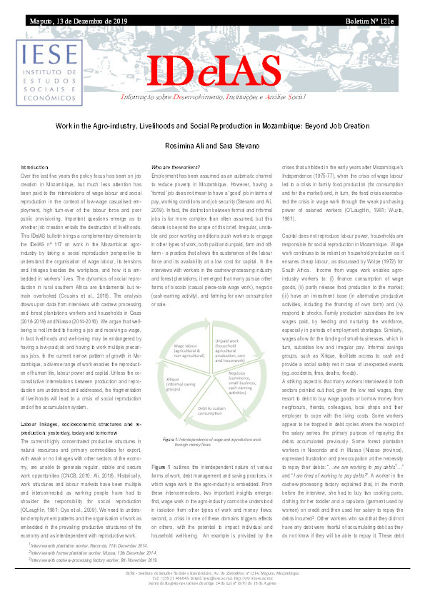Work in the Agro-industry, Livelihoods and Social Reproduction in Mozambique: Beyond Job Creation Thumbnail